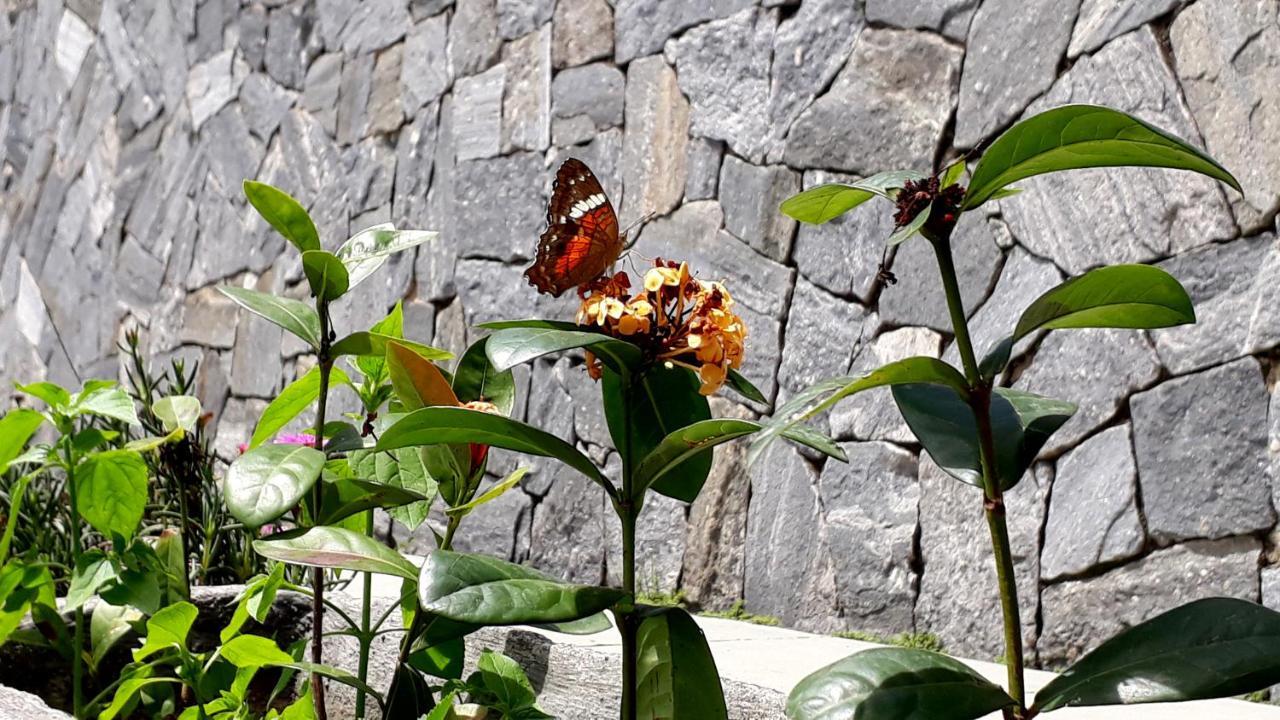 Inn Morada Recanto Flores *